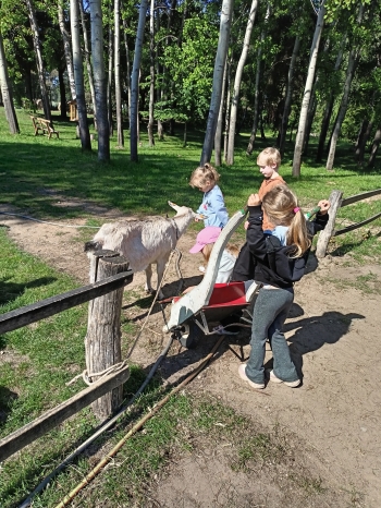 IMG20250513094655