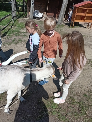 IMG20250513094635
