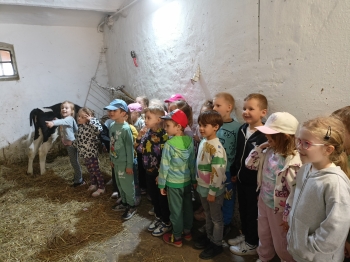 IMG20250513122122