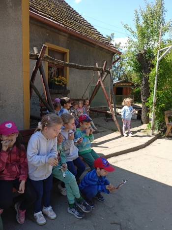 IMG20250513122908