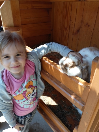 IMG20250513123941