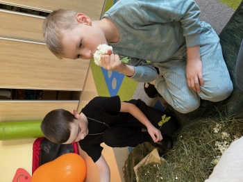 IMG_3778.JPG
