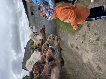 IMG_6306.jpeg