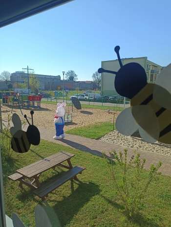 IMG_20250416_090820