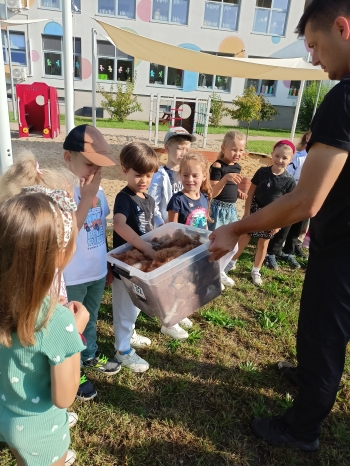 IMG20250910093938