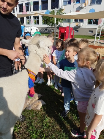 IMG20250910094421