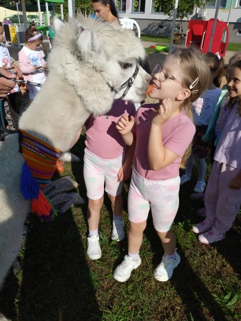 IMG20250910094532