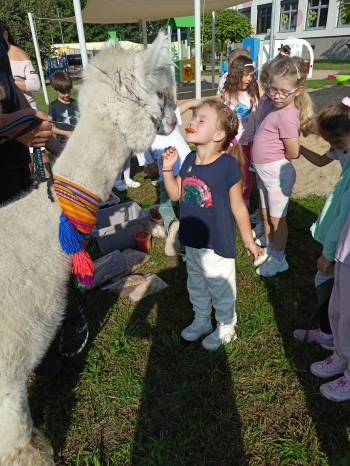 IMG20250910094730
