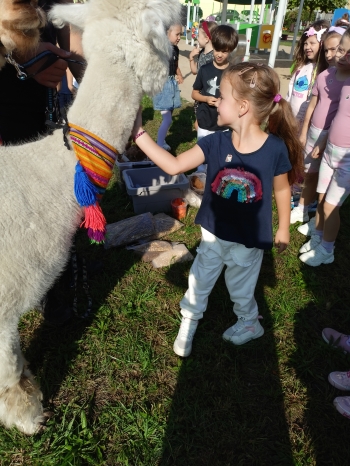 IMG20250910094738