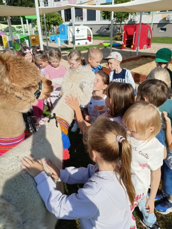 IMG20250910094929