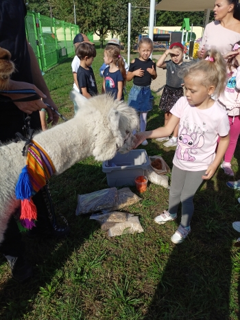 IMG20250910094757