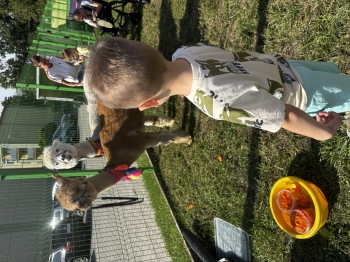 IMG_7949.jpeg