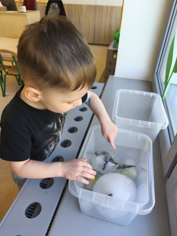 IMG_20260306_085440_1