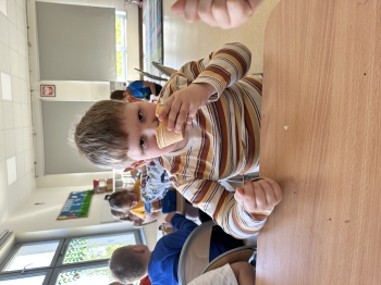 IMG_5515.jpeg