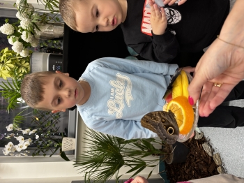 IMG_2205.jpeg
