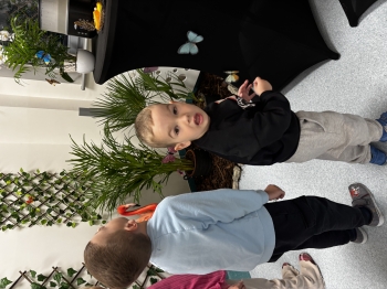 IMG_2198.jpeg