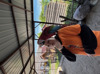 IMG_2326.jpeg
