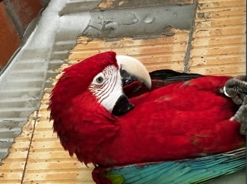 IMG_2330.jpeg