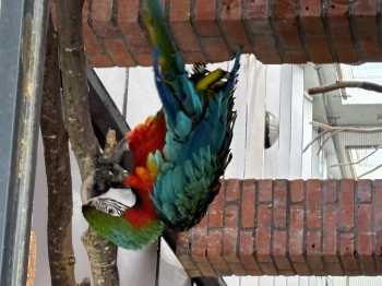 IMG_2331.jpeg