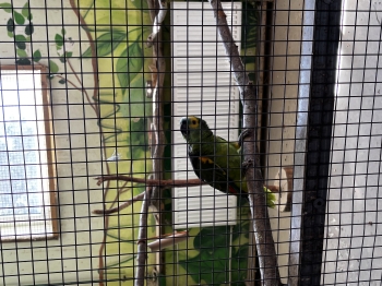 IMG_2348.jpeg