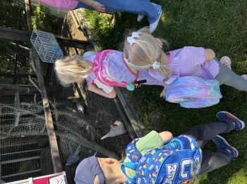 IMG_2349.jpeg