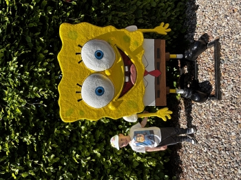 IMG_2356.jpeg