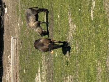 IMG_2363.jpeg
