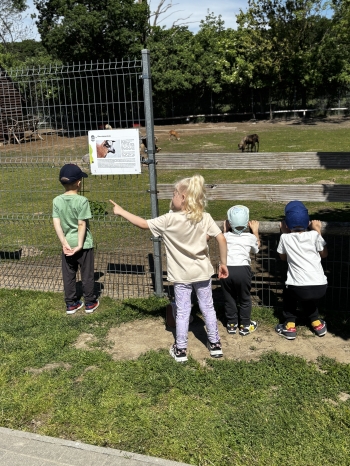 IMG_2362.jpeg