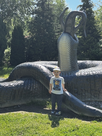 IMG_2367.jpeg