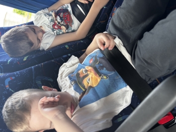 IMG_2383.jpeg
