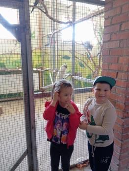 IMG_20260520_101156