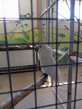 IMG_20260520_101215