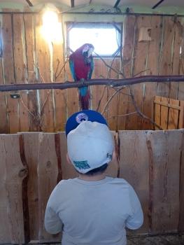 IMG_20260520_101352