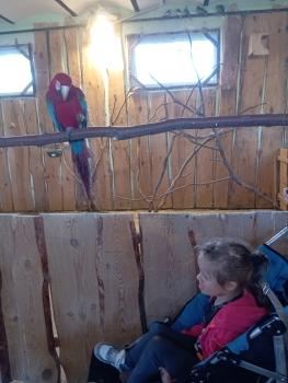IMG_20260520_101403