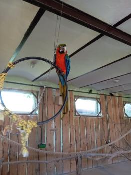 IMG_20260520_101635