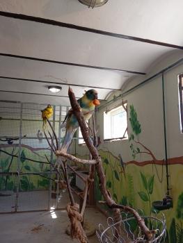 IMG_20260520_101655