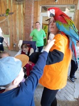 IMG_20260520_102502