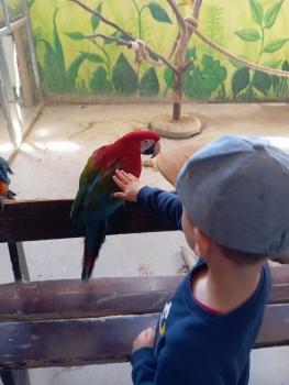 IMG_20260520_102700