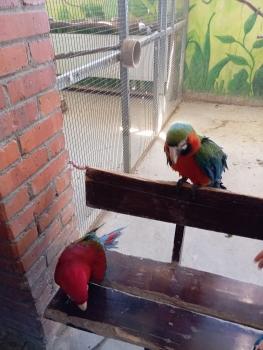 IMG_20260520_102650