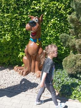 IMG_20260520_104131