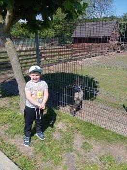 IMG_20260520_104830