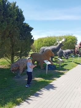 IMG_20260520_104922