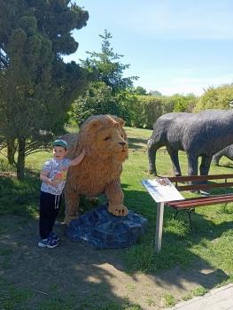 IMG_20260520_104930