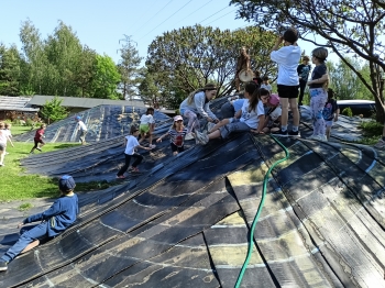 IMG20260520103229
