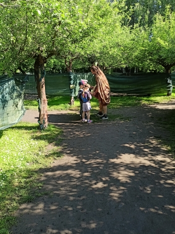 IMG20260520092739