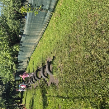 20260520_092615