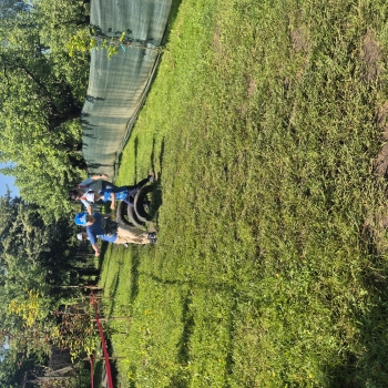 20260520_092651