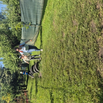 20260520_092655