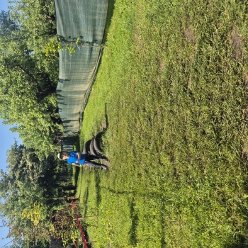 20260520_092659