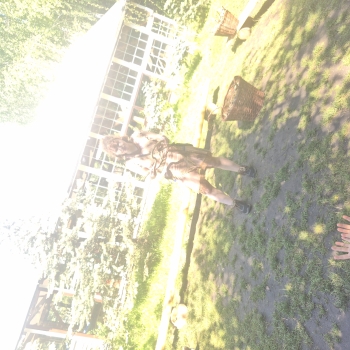 20260520_110311